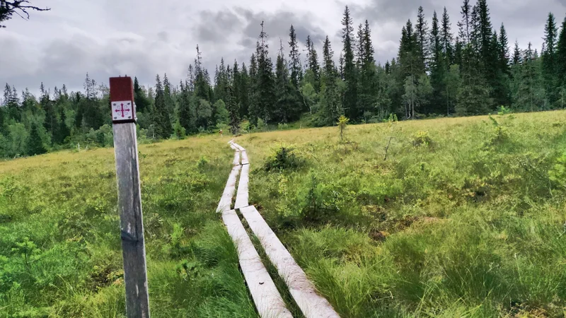 Olavskreuz Wegweiser am Olavsweg in Norwegen